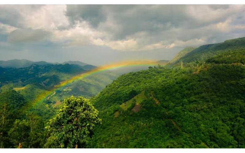 Visakhapatnam & Araku Valley Escape
