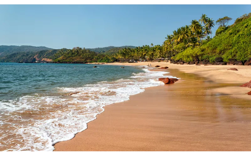 Corporate Goa Offsite – image 3
