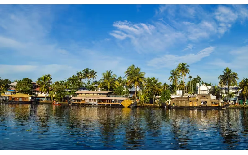 Romantic Kerala Honeymoon – image 5