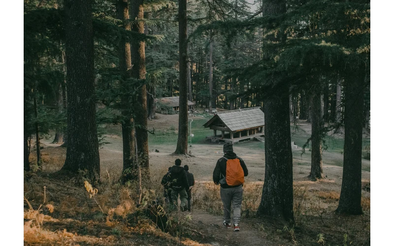 Jibhi Weekend Escape – image 2