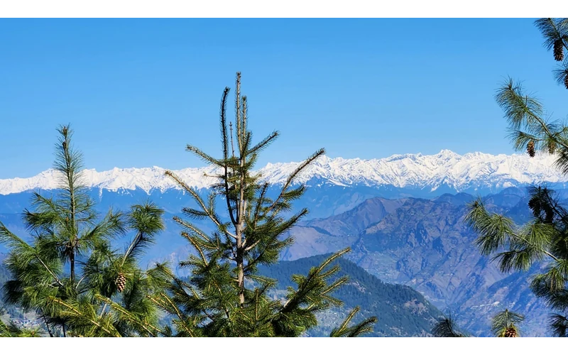 Jibhi Weekend Escape – image 3