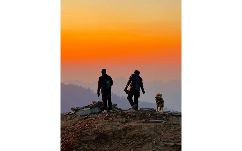 Jibhi Weekend Escape – image 5