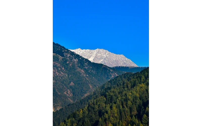 McLeodganj Weekend Escape – image 5