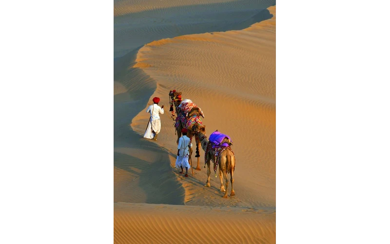 Jodhpur & Jaisalmer Desert Tour