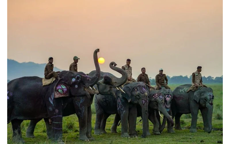 Jim Corbett Wildlife Weekend Escape – image 3
