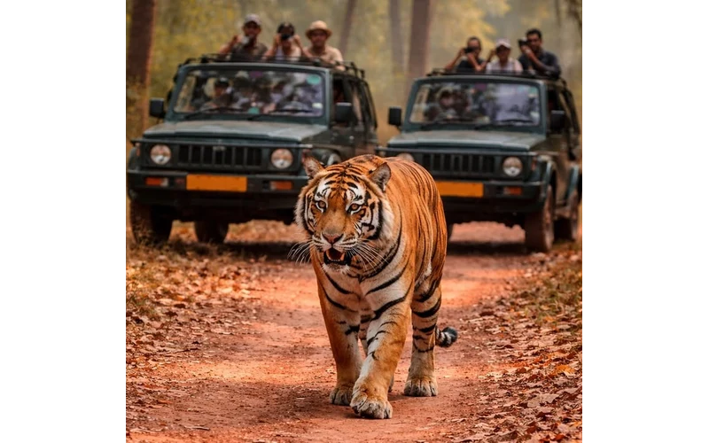 Jim Corbett Wildlife Weekend